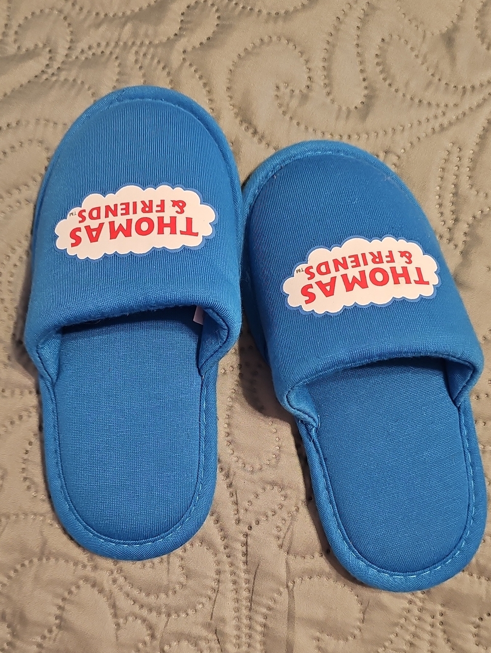 Thomas & Friends Bright Blue Kids Slip-On Slippers with Logo